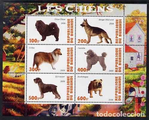 Sellos: BURUNDI 2009 SHEET MNH DOGS CHIENS PERROS HUNDEN CANI CAES