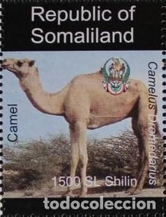 Sellos: SOMALILAND 1997 STAMP MNH FAUNA MAMIFEROS CAMELS CHAMEAUX CAMELOS CAMELLOS
