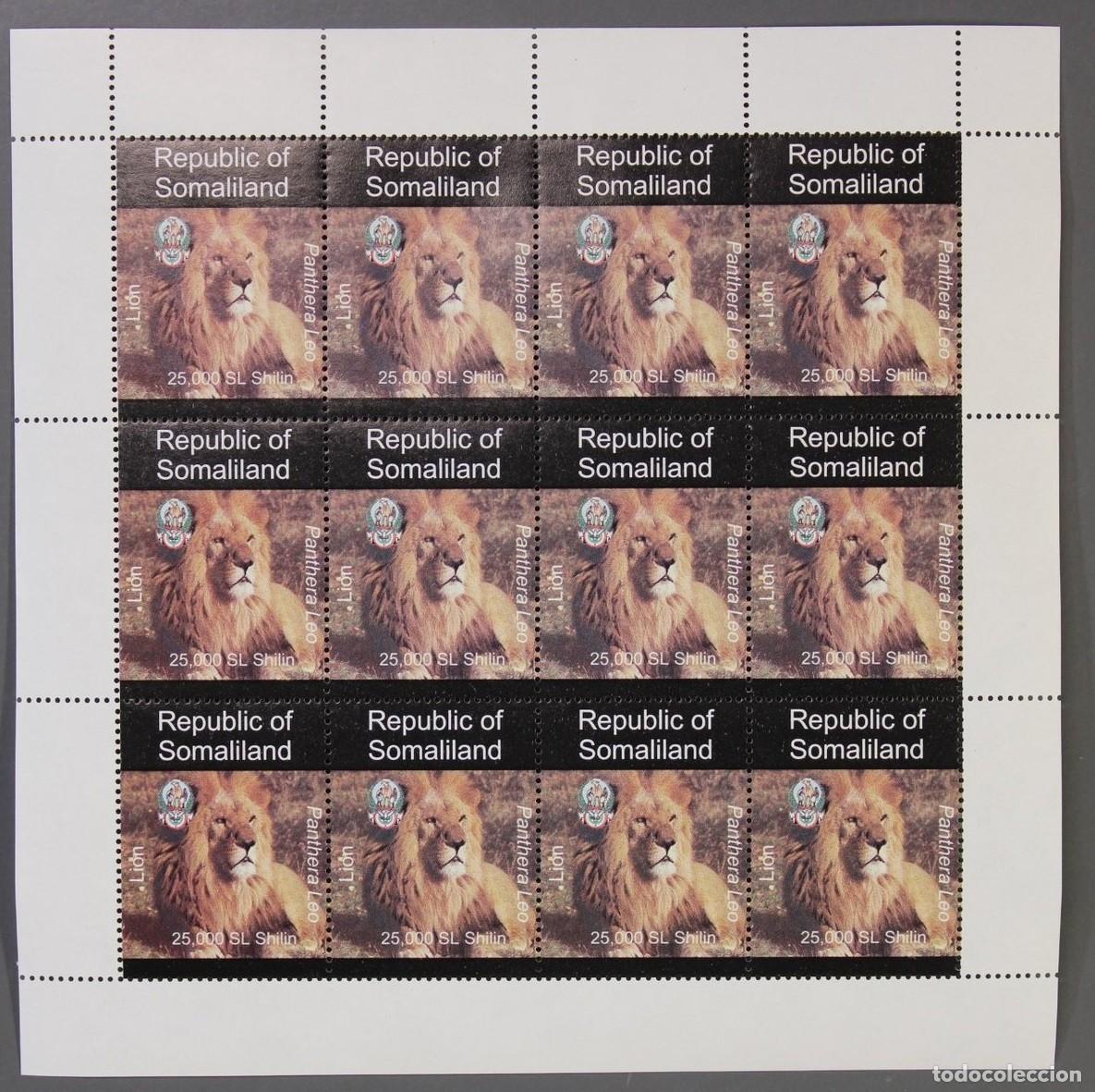 Sellos: SOMALILAND 1997 SHEET MNH FAUNA MAMIFEROS LIONS LEONES LOWEN FELINS FELINES FELINOS WILDLIFE