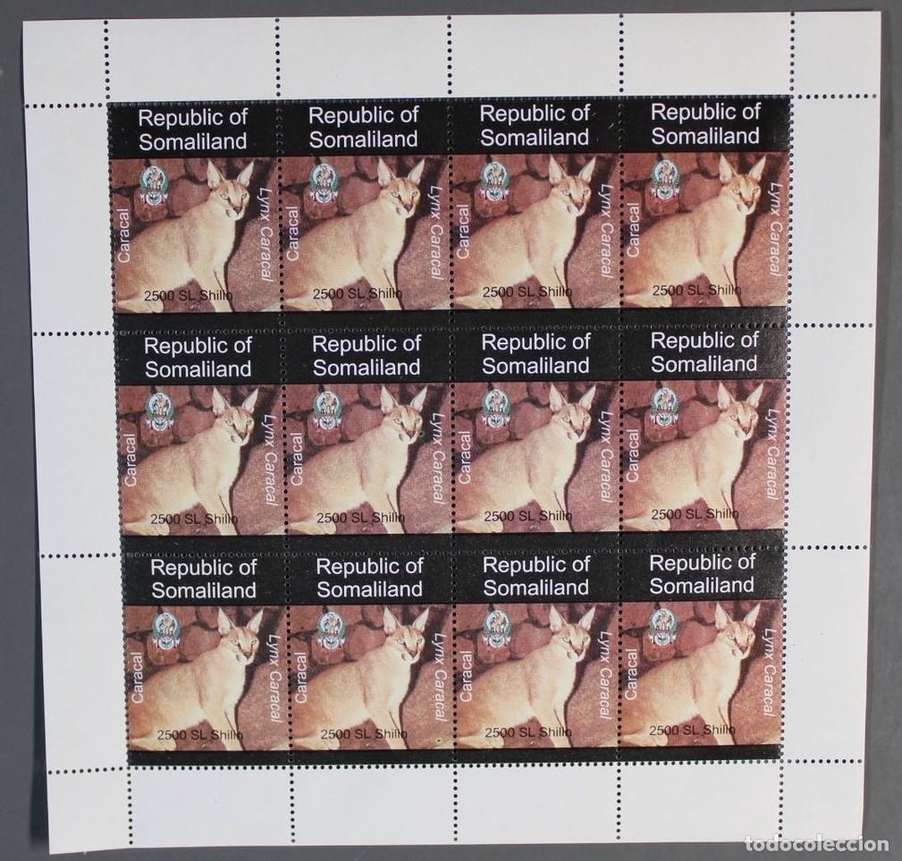 Sellos: SOMALILAND 1997 SHEET MNH FAUNA MAMIFEROS FELINOS LINCES LYNXES LUCHSE LYNX WILDLIFE WILD CATS