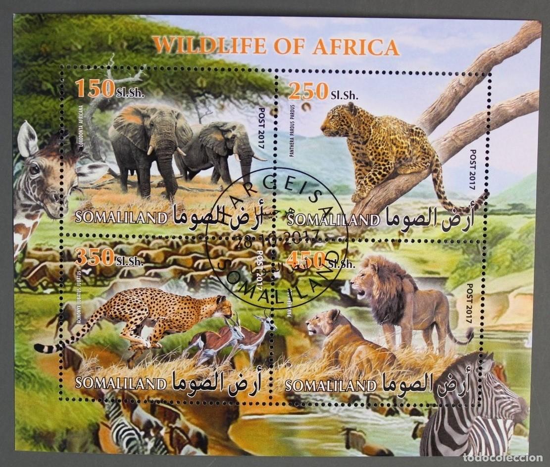 Sellos: SOMALILAND 2017 SHEET USED MNH FAUNA MAMIFEROS ELEFANTES LEONES CEBRAS GUEPARDOS LEOPARDOS FELINOS
