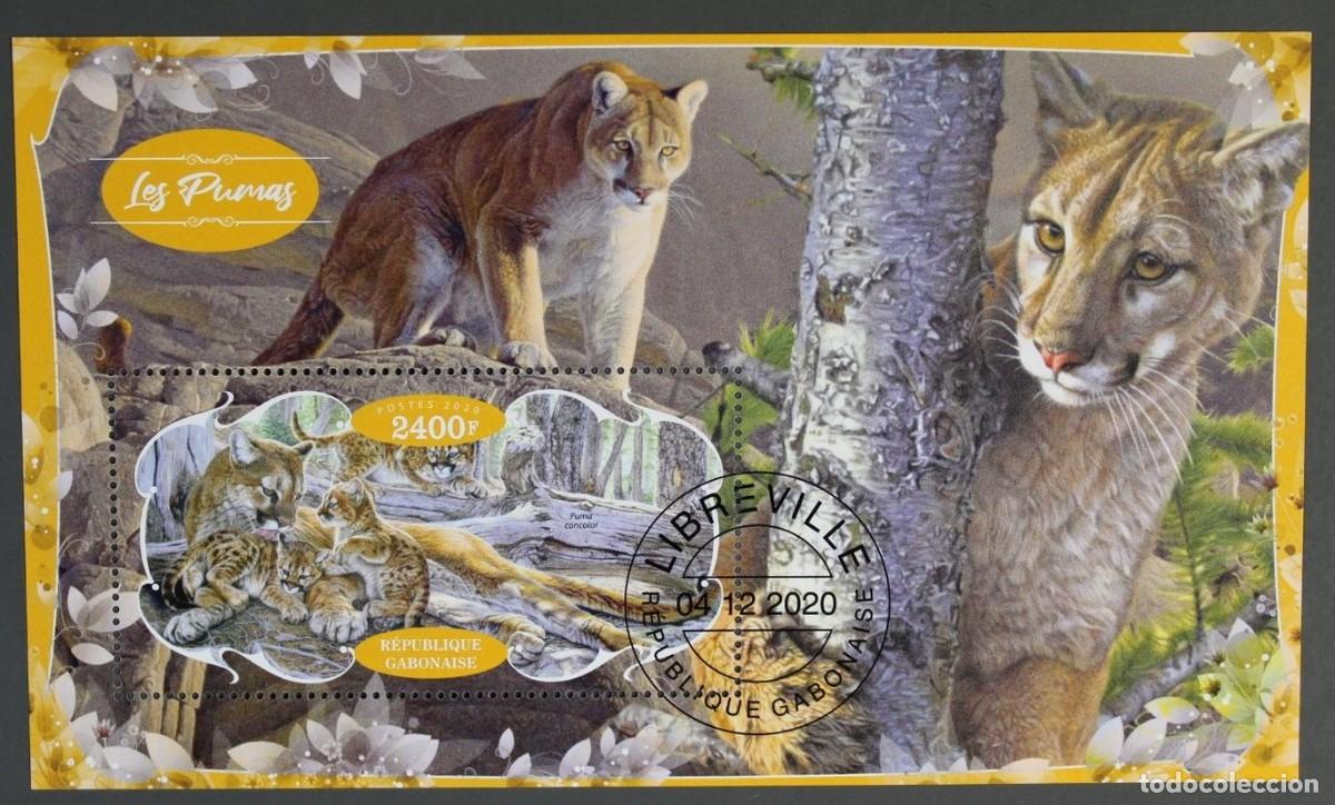 Sellos: GABON 2020 SHEET USED MNH FAUNA MAMIFEROS PUMAS RAUBKATZEN FELINOS FELINES WILDLIFE WILD CATS