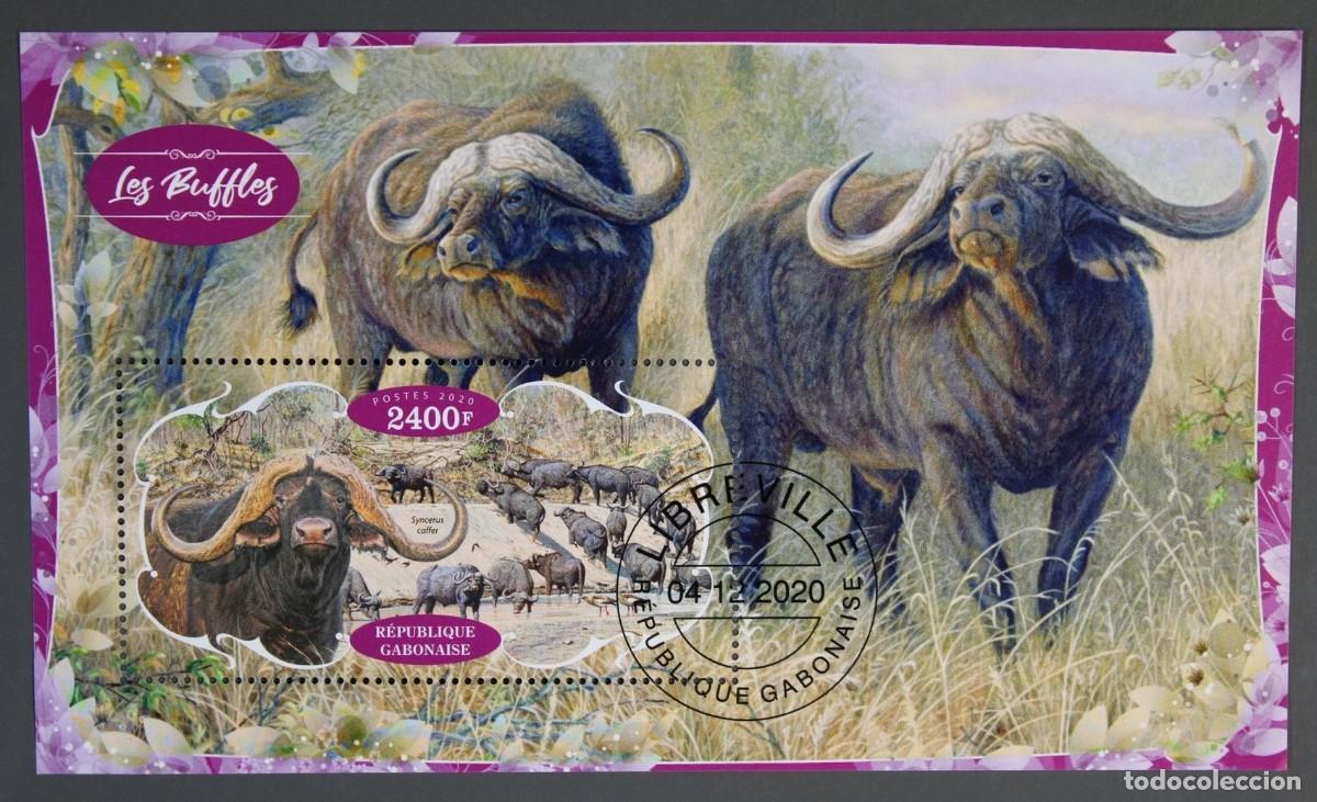 Sellos: GABON 2020 SHEET USED MNH FAUNA MAMIFEROS BUFFALOES BUFFALOS BUFALOS BUFFLONNE BUFFLES WILDLIFE