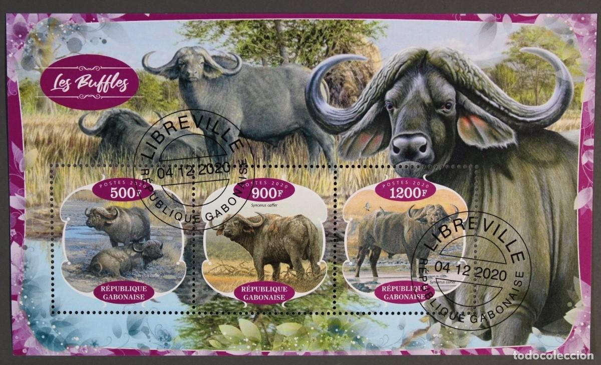 Sellos: GABON 2020 SHEET USED MNH FAUNA MAMIFEROS BUFFALOES BUFFALOS BUFALOS BUFFLONNE BUFFLES WILDLIFE