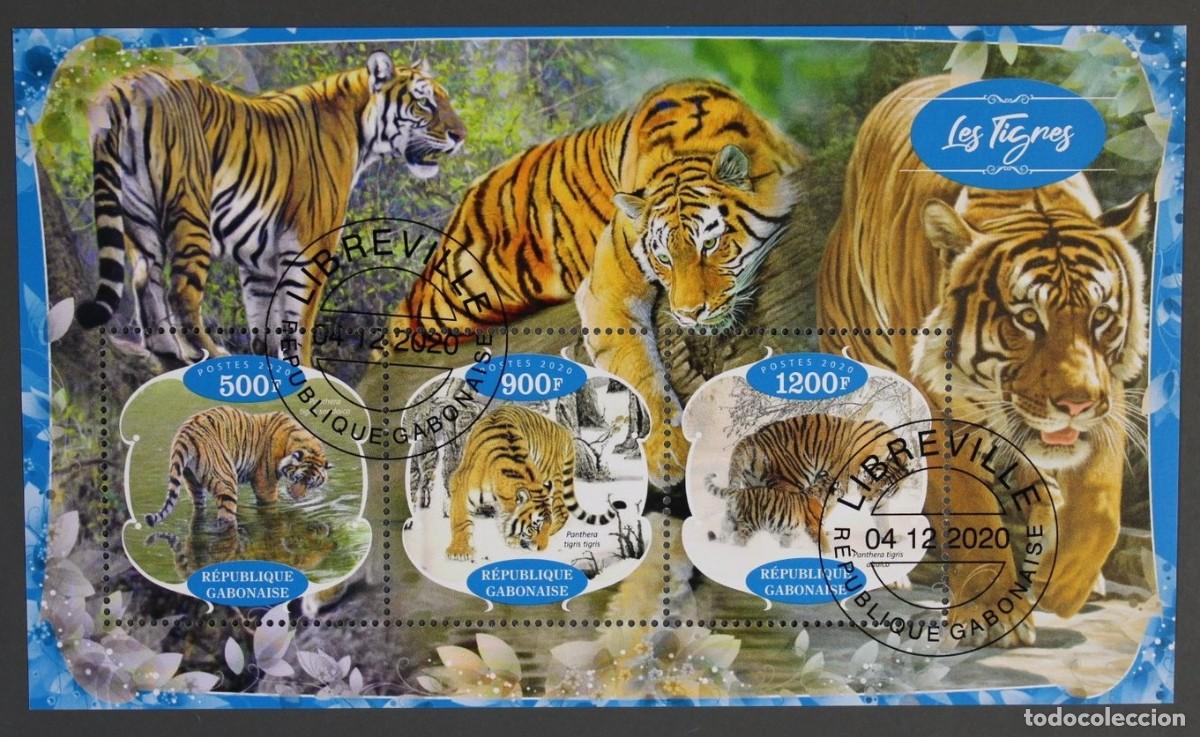 Sellos: GABON 2020 SHEET USED MNH FAUNA MAMIFEROS TIGRES RAUBKATZEN FELINOS FELINES WILDLIFE WILD CATS