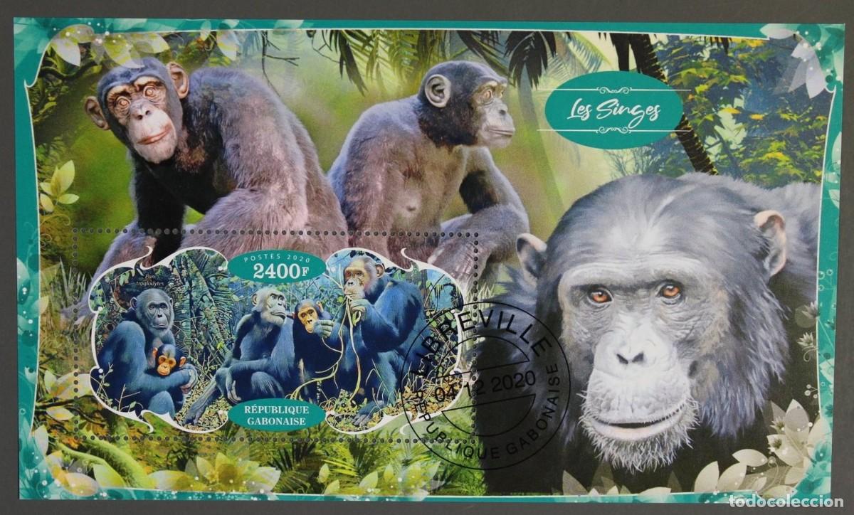 Sellos: GABON 2020 SHEET USED MNH FAUNA MAMIFEROS PRIMATES MONKEYS MONOS SINGES SCIMMIE AFFEN APES WILDLIFE