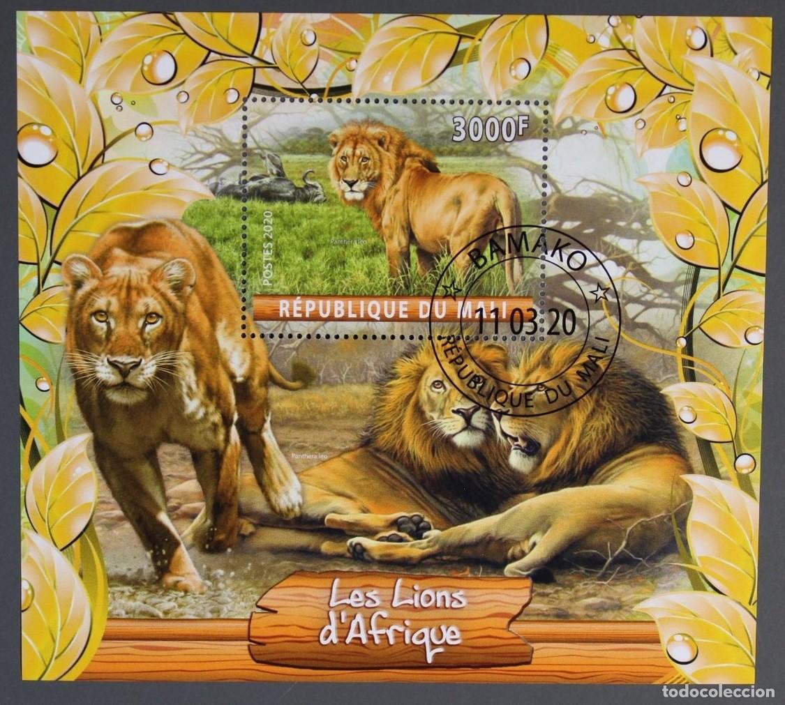 Sellos: MALI 2020 SHEET USED MNH FAUNA MAMIFEROS LIONS LEONES LEONI LOWEN FELINOS FELINES FELINS WILDLIFE