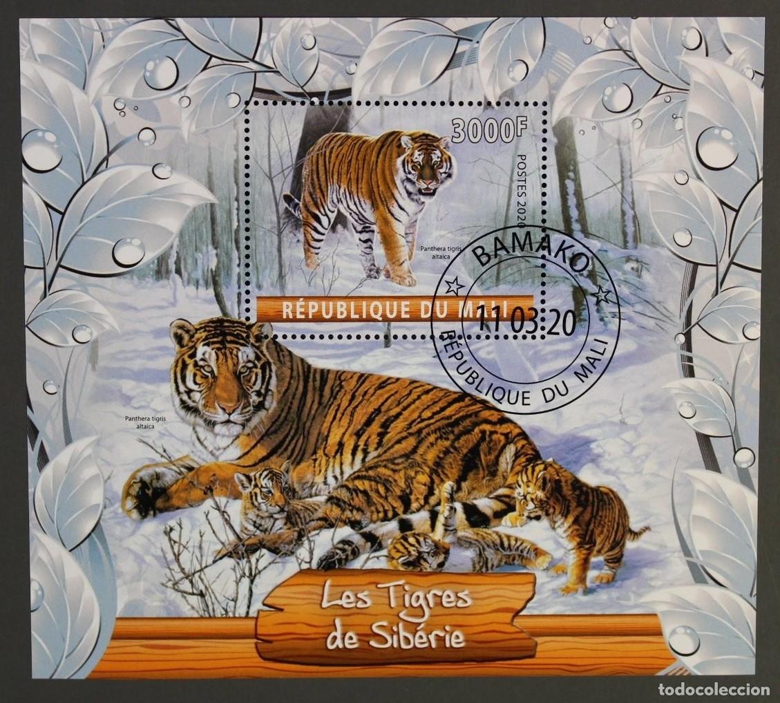 Sellos: MALI 2020 SHEET USED MNH FAUNA MAMIFEROS TIGERS TIGRES RAUBKATZEN FELINOS FELINES WILDLIFE WILD CATS