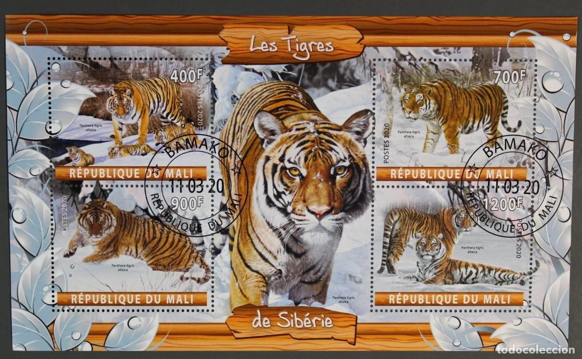 Sellos: MALI 2020 SHEET USED MNH FAUNA MAMIFEROS TIGERS TIGRES RAUBKATZEN FELINOS FELINES WILDLIFE WILD CATS