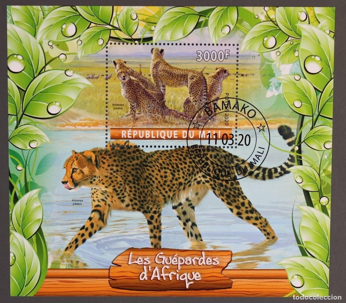 Sellos: MALI 2020 SHEET USED MNH FAUNA MAMIFEROS GUEPARDS GUEPARDOS WILD CATS FELINES FELINOS WILDLIFE