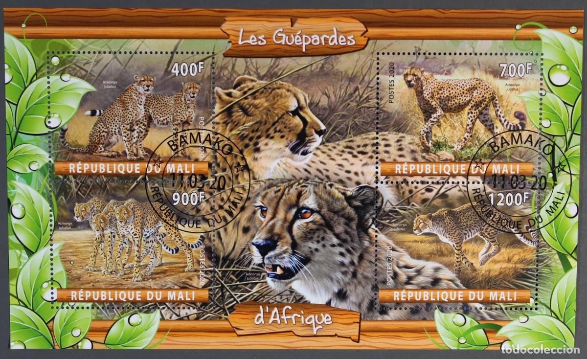 Sellos: MALI 2020 SHEET USED MNH FAUNA MAMIFEROS GUEPARDS GUEPARDOS WILD CATS FELINES FELINOS WILDLIFE