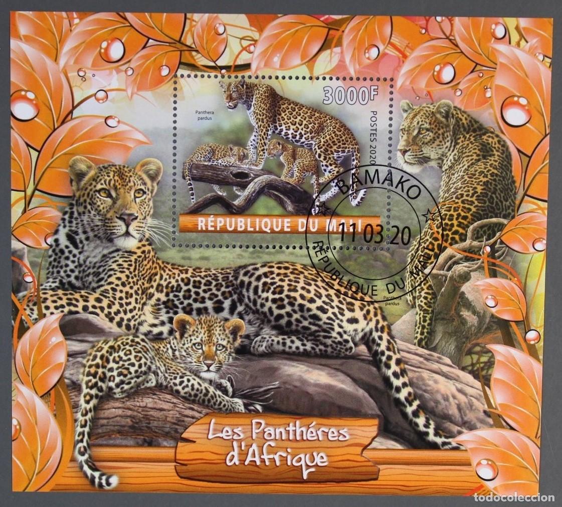 Sellos: MALI 2020 SHEET USED MNH FAUNA MAMIFEROS FELINOS FELINES LEOPARDOS LEOPARDS LEOPARDEN WILDLIFE