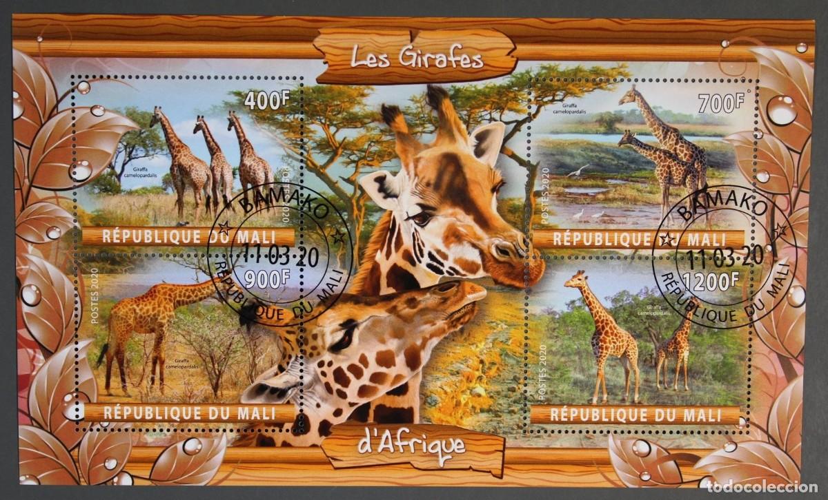 Sellos: MALI 2020 SHEET USED MNH FAUNA MAMIFEROS JIRAFAS GIRAFES GIRAFFES GIRAFFEN GIRAFAS WILDLIFE