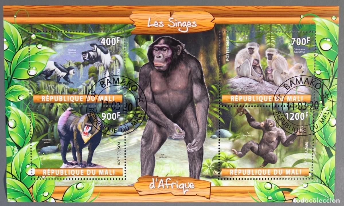 Sellos: MALI 2020 SHEET USED MNH FAUNA MAMIFEROS PRIMATES MONKEYS MONOS SINGES SCIMMIE AFFEN APES WILDLIFE