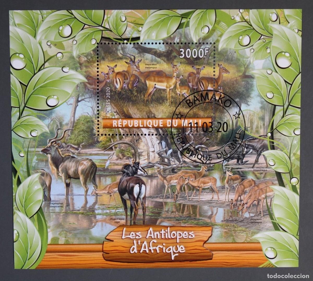 Sellos: MALI 2020 SHEET USED MNH FAUNA MAMIFEROS ANTILOPES ANTELOPES ANTILOPEN ANTELOPI WILDLIFE