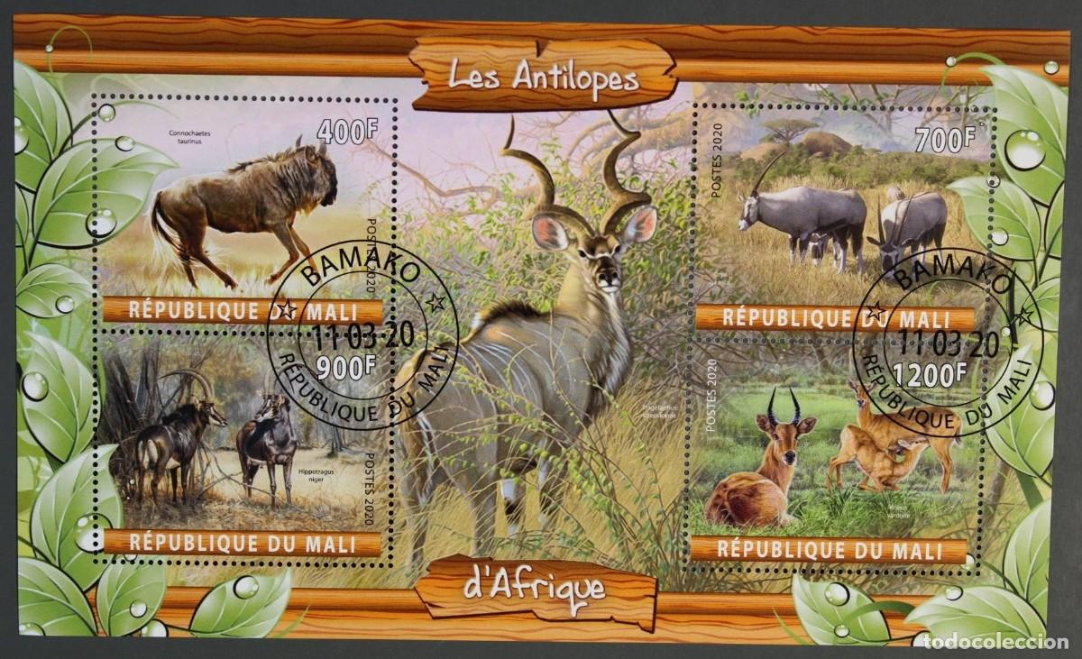 Sellos: MALI 2020 SHEET USED MNH FAUNA MAMIFEROS ANTILOPES ANTELOPES ANTILOPEN ANTELOPI WILDLIFE