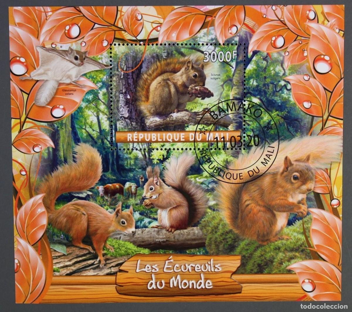 Sellos: MALI 2020 SHEET USED MNH FAUNA MAMIFEROS ARDILLAS SQUIRRELS ECUREUILS EICHHORNCHEN SCOIATTOLI