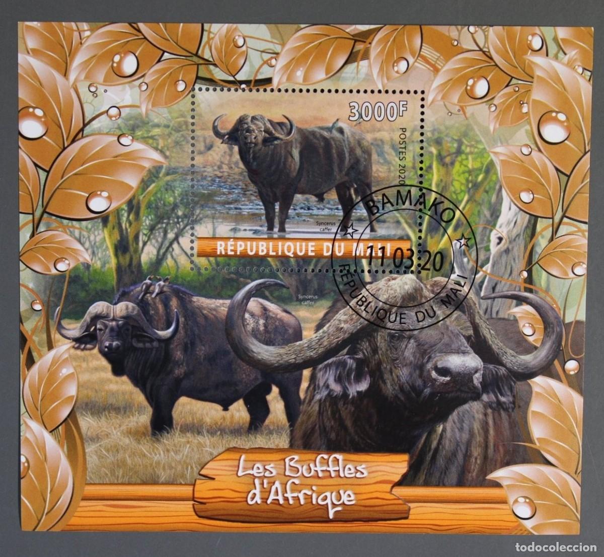 Sellos: MALI 2020 SHEET USED MNH FAUNA MAMIFEROS BUFFALOES BUFFALOS BUFALOS BUFFLONNE BUFFLES WILDLIFE