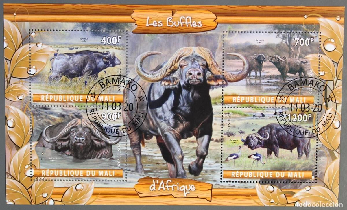 Sellos: MALI 2020 SHEET USED MNH FAUNA MAMIFEROS BUFFALOES BUFFALOS BUFALOS BUFFLONNE BUFFLES WILDLIFE