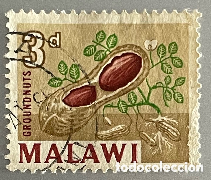 Sellos: Malawi. Aspectos locales. 1964