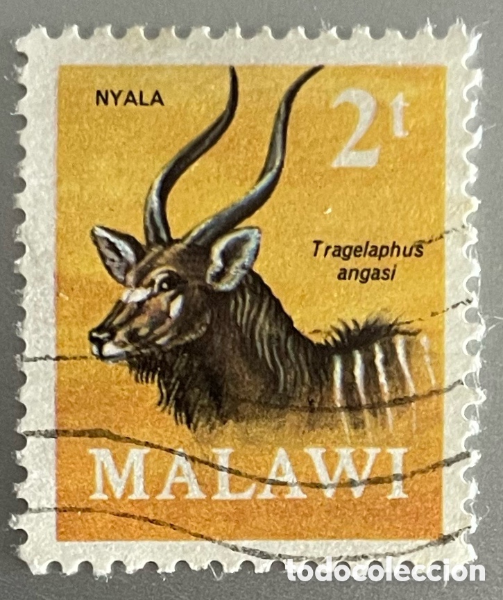 Sellos: Malawi. Ant&iacute;lopes. 1971