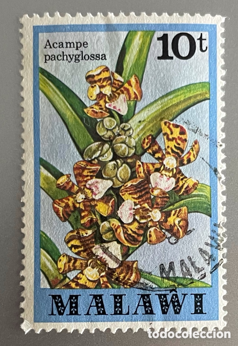 Sellos: Malawi. Orqu&iacute;deas. 1979