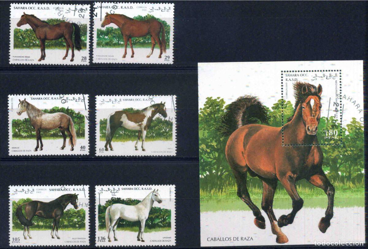 Sellos: RASD - Sahara Occ. 1995 - caballos de raza (obliterados)