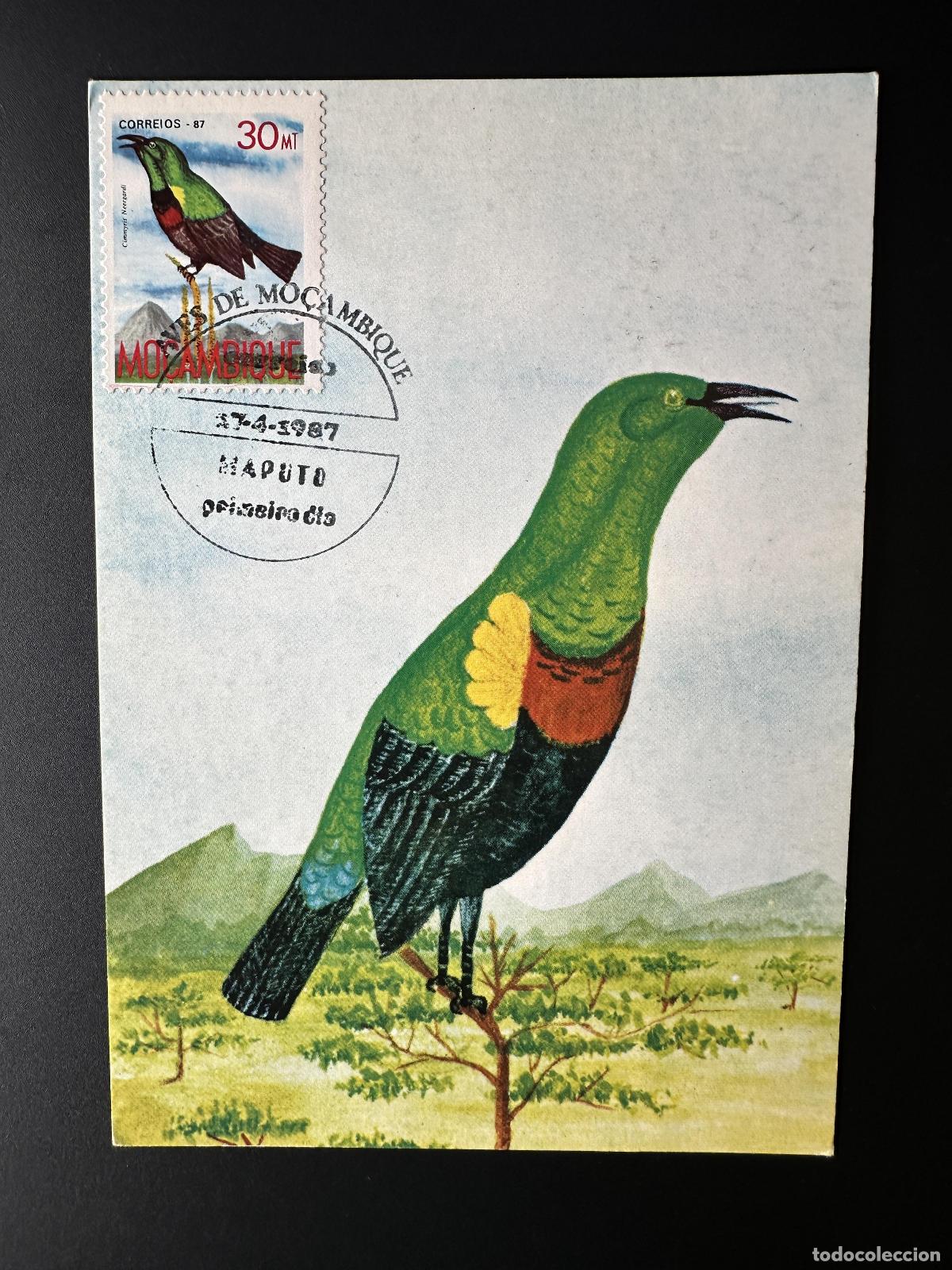 Sellos: Mozambique 1987 Mi. 1093 m&aacute;ximo tarjeta postal entero p&aacute;jaro ave Cimmyris