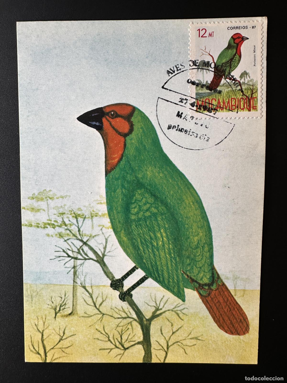 Sellos: Mozambique 1987 Mi. 1091 tarjeta postal m&aacute;xima n&uacute;mero entero p&aacute;jaro ave Pirenestes