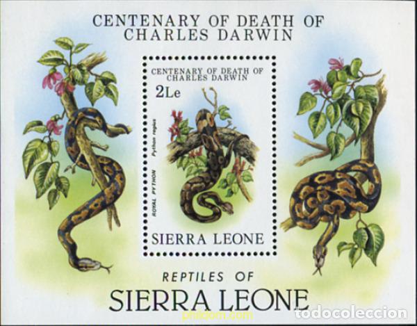 Selos: 38460 MNH SIERRA LEONA 1982 SERPIENTES