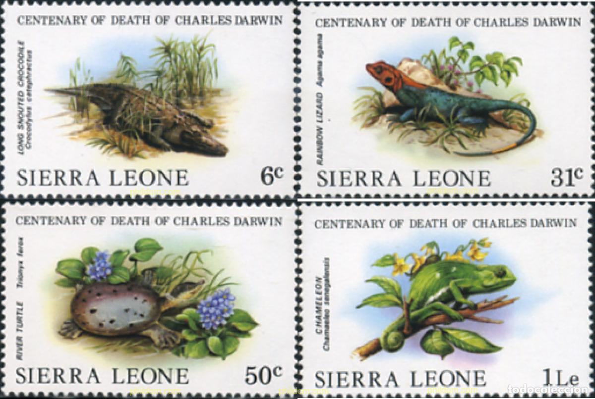 Sellos: 28264 MNH SIERRA LEONA 1982 REPTILES
