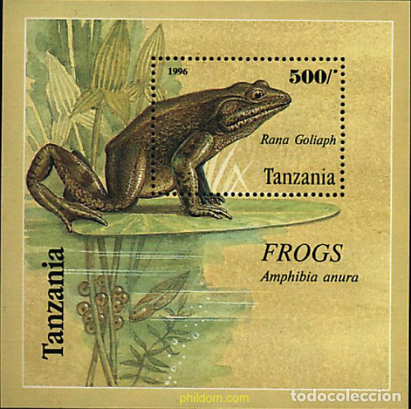 Sellos: 80474 MNH TANZANIA 1996 RANAS