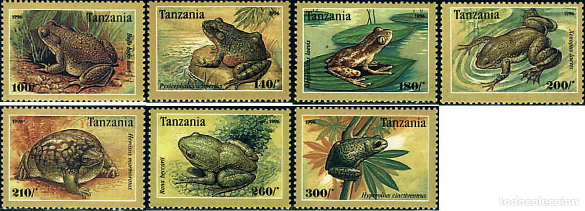 Sellos: 71211 MNH TANZANIA 1996 RANAS