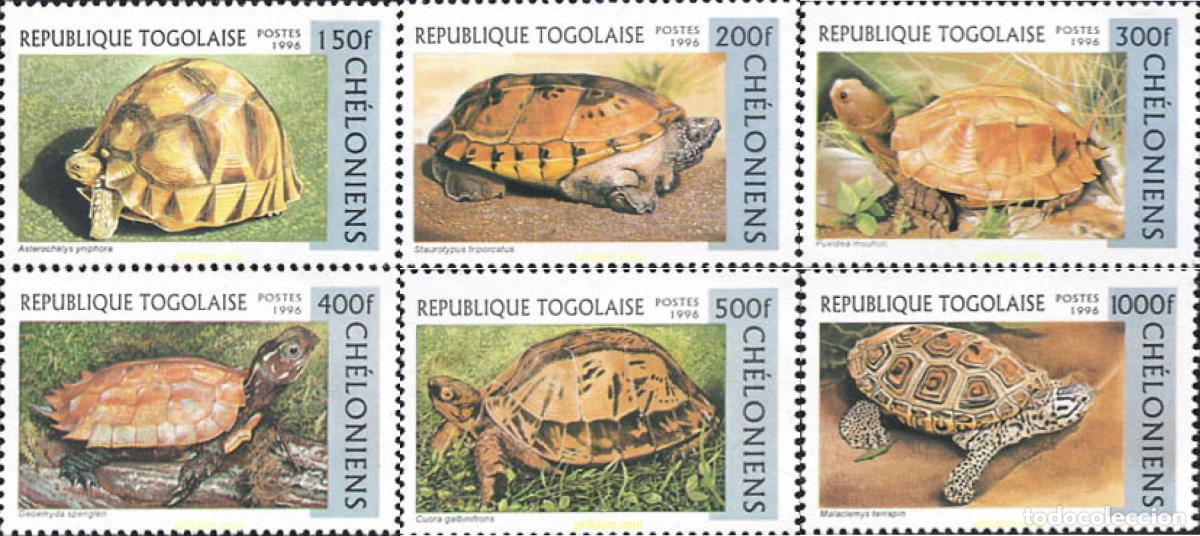 Sellos: 73757 MNH TOGO 1996 TORTUGAS