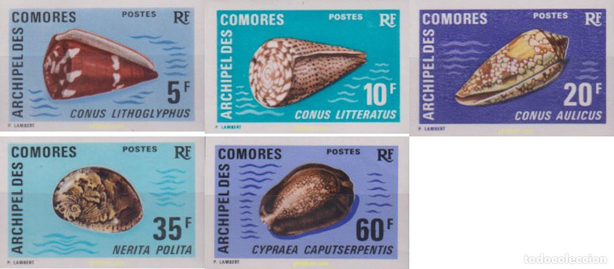 Sellos: 627905 MNH COMORES 1971 CONCHAS