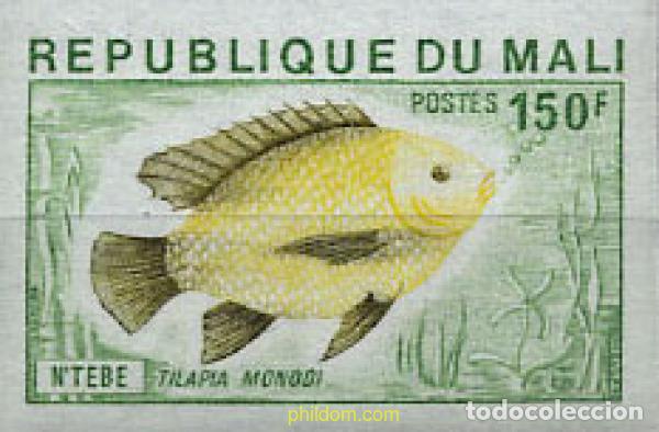 Sellos: 221197 MNH MALI 1976 PECES
