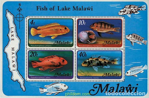 Sellos: 36423 MNH MALAWI 1977 PECES