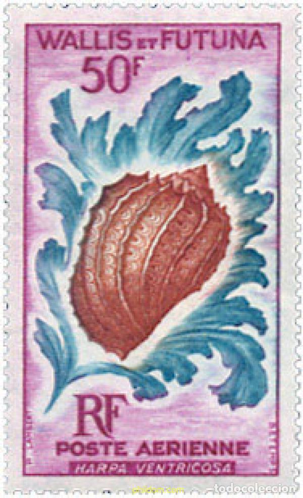 Sellos: 369184 MNH WALLIS Y FUTUNA 1962 CONCHAS