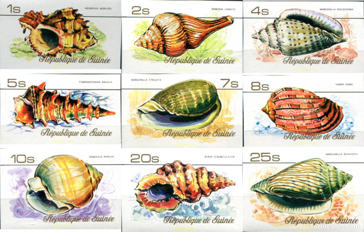 Sellos: 14553 MNH GUINEA 1977 CONCHAS