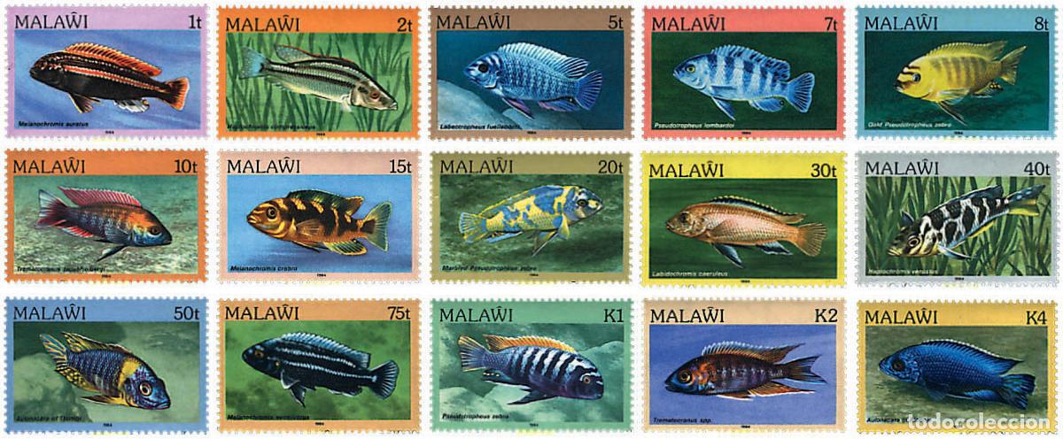 Sellos: 28461 MNH MALAWI 1984 PECES