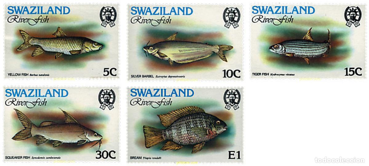 Sellos: 91210 MNH SWAZILANDIA 1980 PECES DE RIO