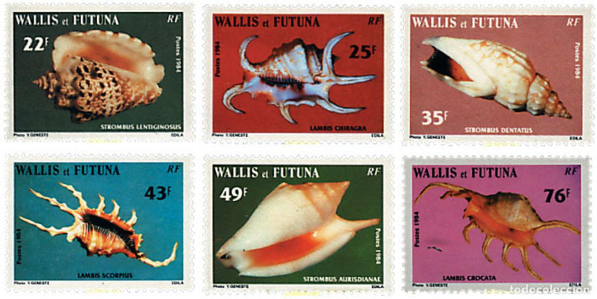 Sellos: 45858 MNH WALLIS Y FUTUNA 1984 CONCHAS
