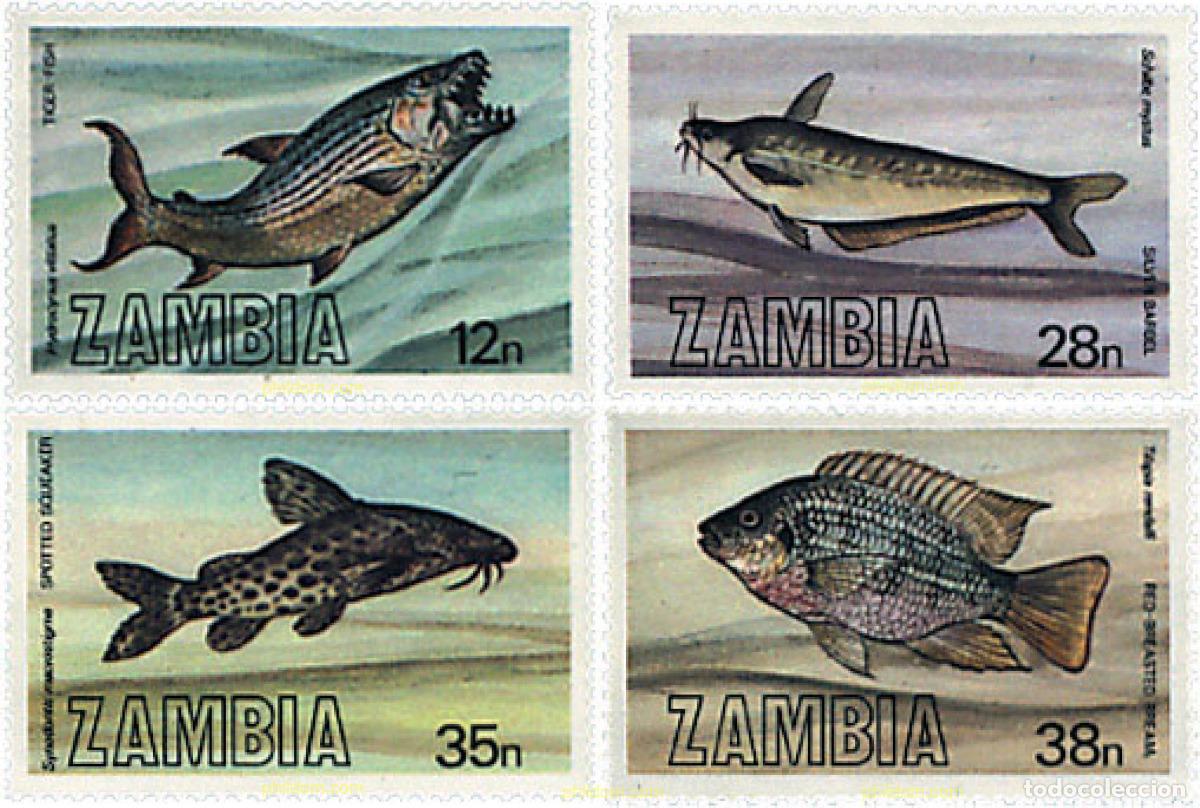 Sellos: 34249 MNH ZAMBIA 1983 PECES