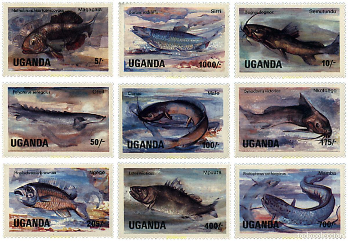 Sellos: 234346 MNH UGANDA 1985 PECES
