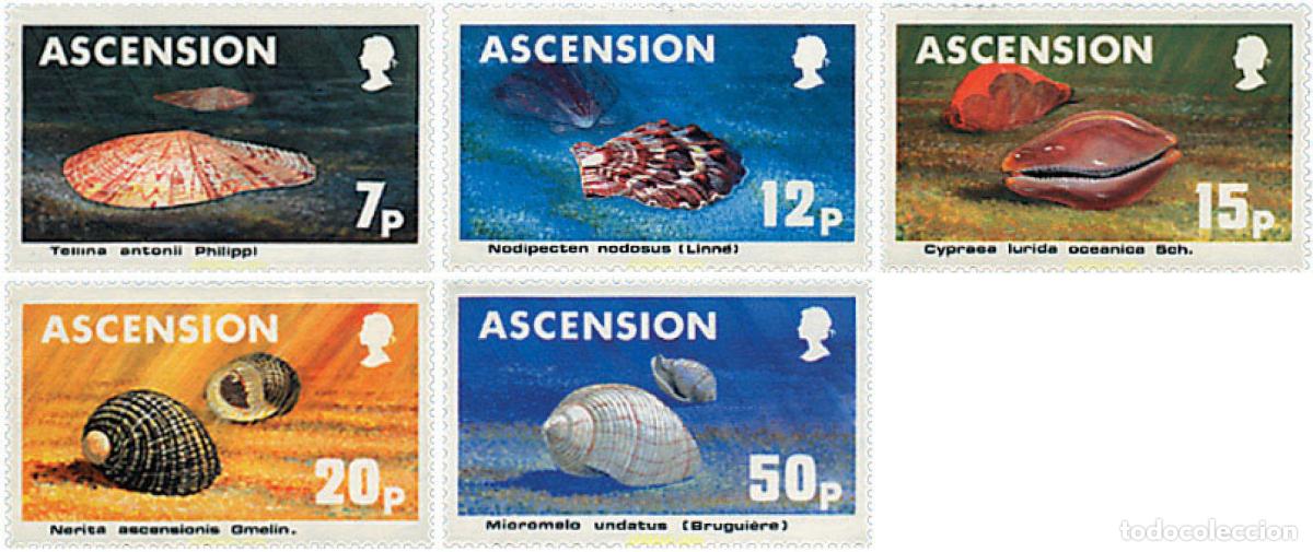 Sellos: 72659 MNH ASCENSION 1983 CONCHAS