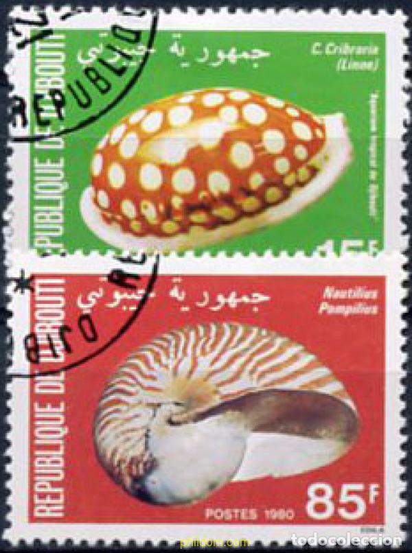Sellos: 210743 USED DJIBOUTI 1980 CONCHAS