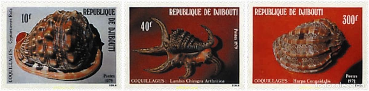 Sellos: 53167 MNH DJIBOUTI 1979 CONCHAS