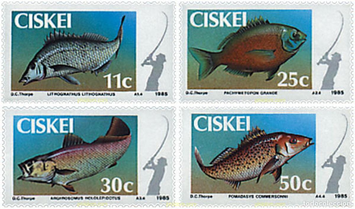 Sellos: 28514 MNH CISKEI 1985 PECES