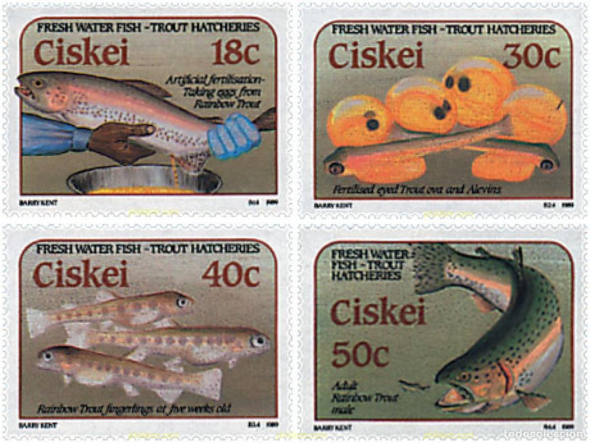 Sellos: 36255 MNH CISKEI 1989 CRIANZA DE LA TRUCHA