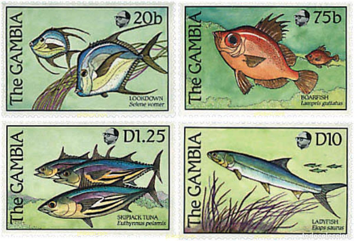 Sellos: 316820 MNH GAMBIA 1989 PECES